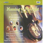 Ragmala - Vol - 8 Late Evening Ragas - Pt. V. G. Jog Song Download